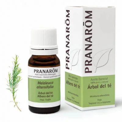 pranarom árbol del té