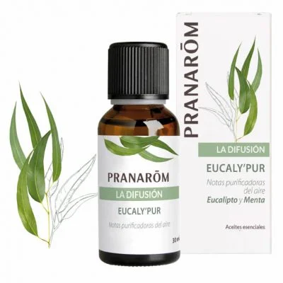 pranarom eucalypur