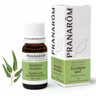 PRANAROM ACEITE ESENCIAL EUCALIPTO AZUL