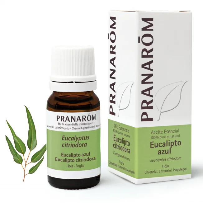 PRANAROM ACEITE ESENCIAL EUCALIPTO AZUL